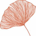 Bossi - sustainable progress in bougainville - ibloom